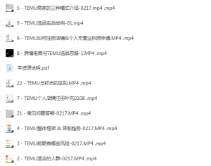 图片[2]-跨境运营（跨境拼多多TEMU实操与选品）-云翼教育