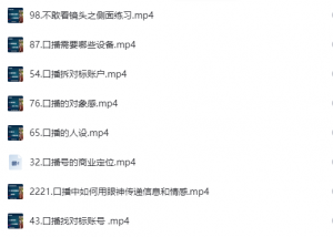 图片[2]-跨境运营（0基础口播表现力实战课程【课程】【视频】）-云翼教育